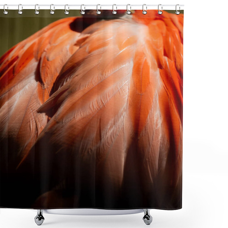 Personality  Lights Across Flamingo Feathers Fade To Black Shadows In Midday Light Shower Curtains