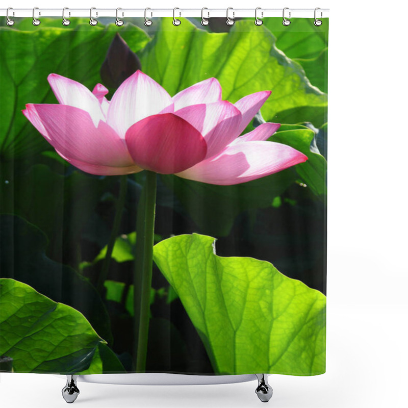 Personality  A Vertical Shot Of A Blooming Lotus Flower In The Greenery Shower Curtains