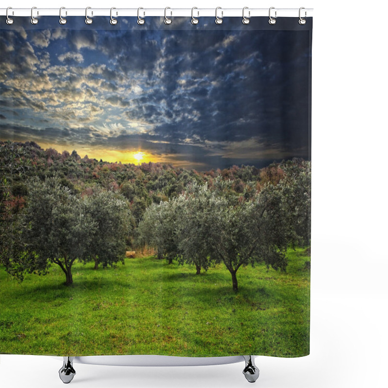 Personality  Olive Tree Background Shower Curtains