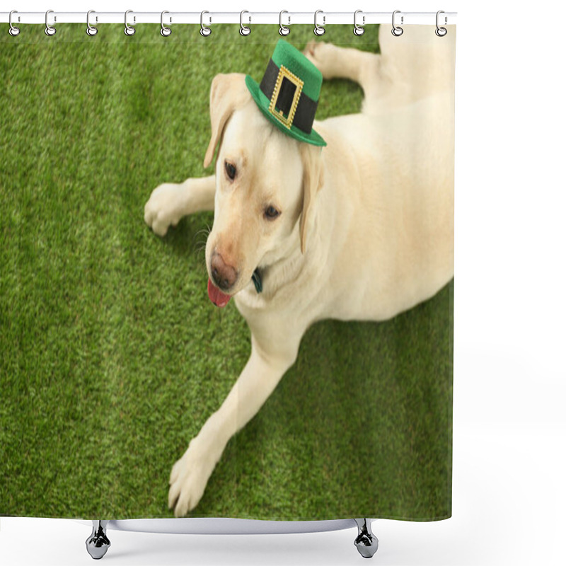 Personality  Labrador Retriever With Leprechaun Hat Outdoors, Above View. St. Patrick's Day Shower Curtains