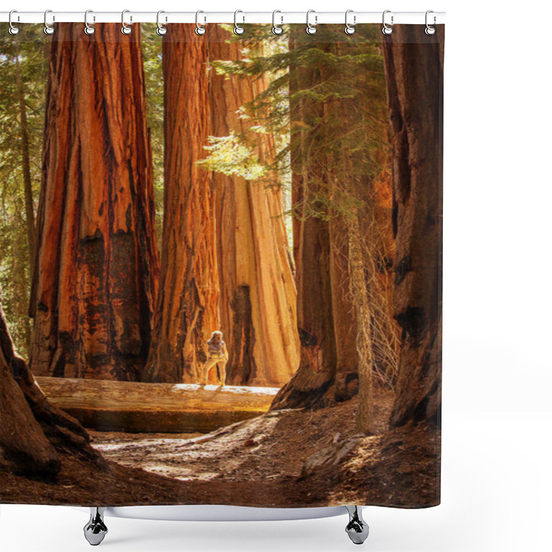 Personality  Hiker In Sequoia National Park In California, USA Shower Curtains