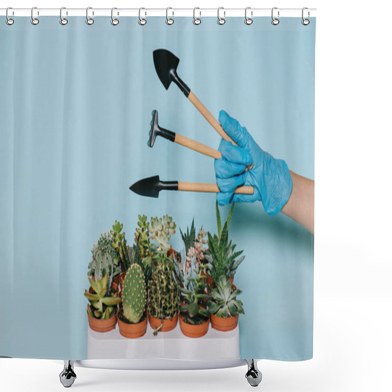 Personality  Cropped Shot Of Human Hand In Glove Holding Gardening Tools And Potted Succulents Isolated On Grey Shower Curtains