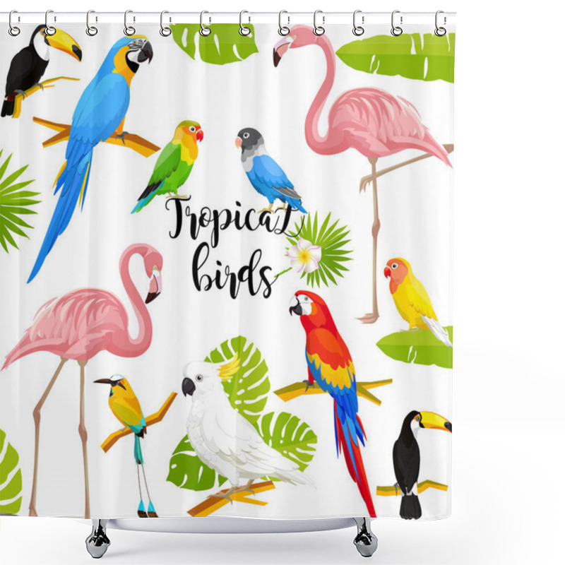 Personality  Set Of Tropical Birds On White Background Vector Illustration Shower Curtains