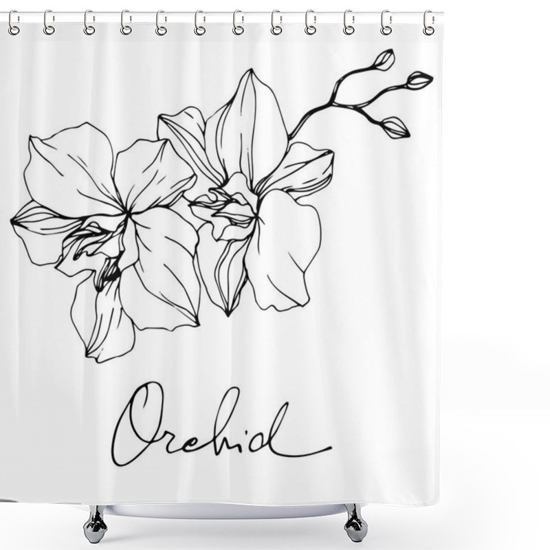 Personality  Beautiful Orchid Flowers. Black And White Engraved Ink Art. Isolated Orchids Illustration Element On White Background. Shower Curtains