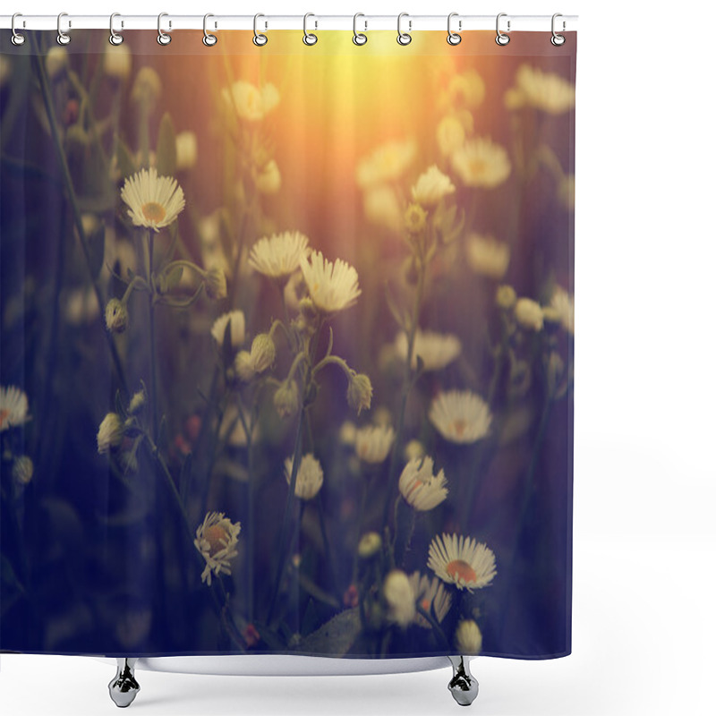 Personality  White Wild Flowers In Sunset Shower Curtains