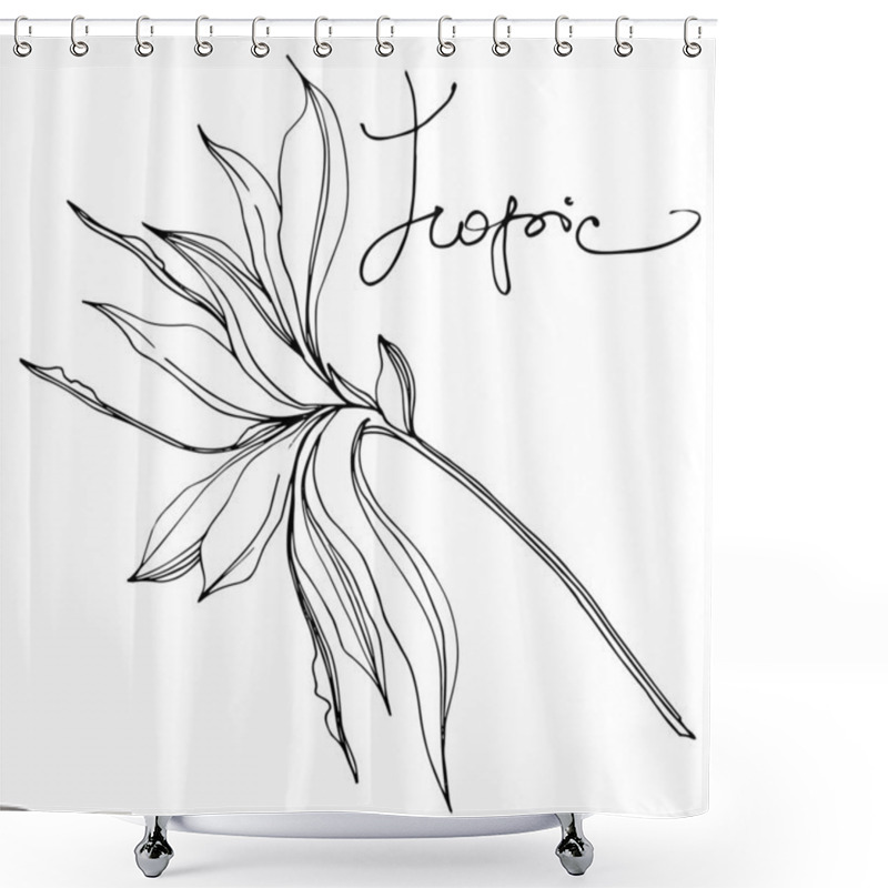 Personality  Palm Beach Tree Leaves Jungle Botanical Succulent. Black And White Engraved Ink Art. Isolated Leaf Illustration Element. Shower Curtains