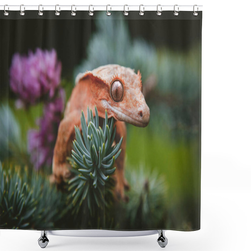 Personality  New Caledonian Crested Gecko On Tree With Flowers Shower Curtains