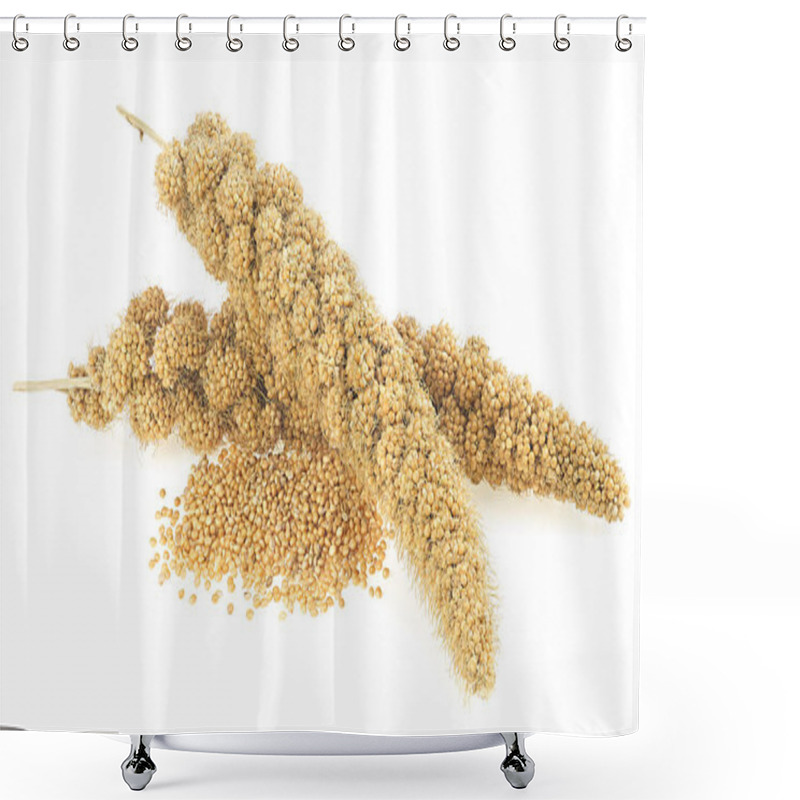 Personality  Twigs Of Senegal Millet And Grains Of Millet Isolated On A White Background Shower Curtains