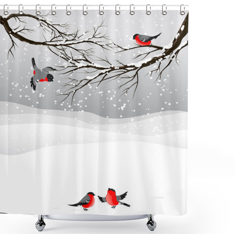 Personality  Winter Background With Birds Bullfinch Shower Curtains