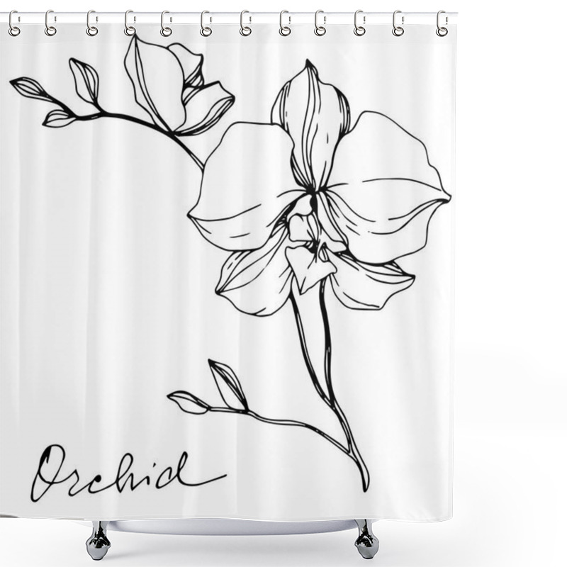 Personality  Vector Monochrome Orchids With Orchid Lettering Isolated On White. Engraved Ink Art. Shower Curtains