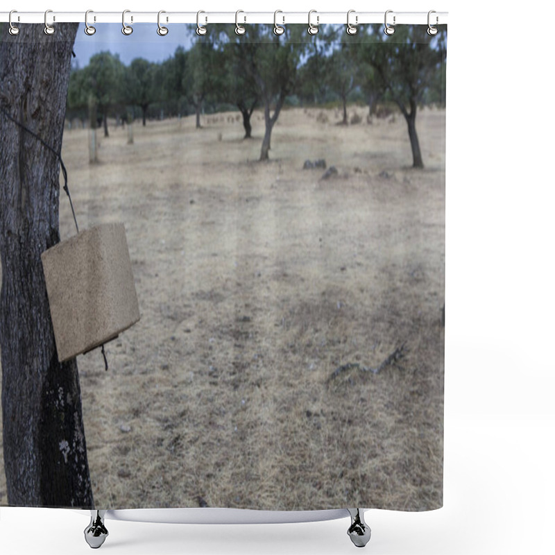 Personality  Natural Sea Salt Cube Hanging From Tree Branch. Big Game Hunting Estate Shower Curtains