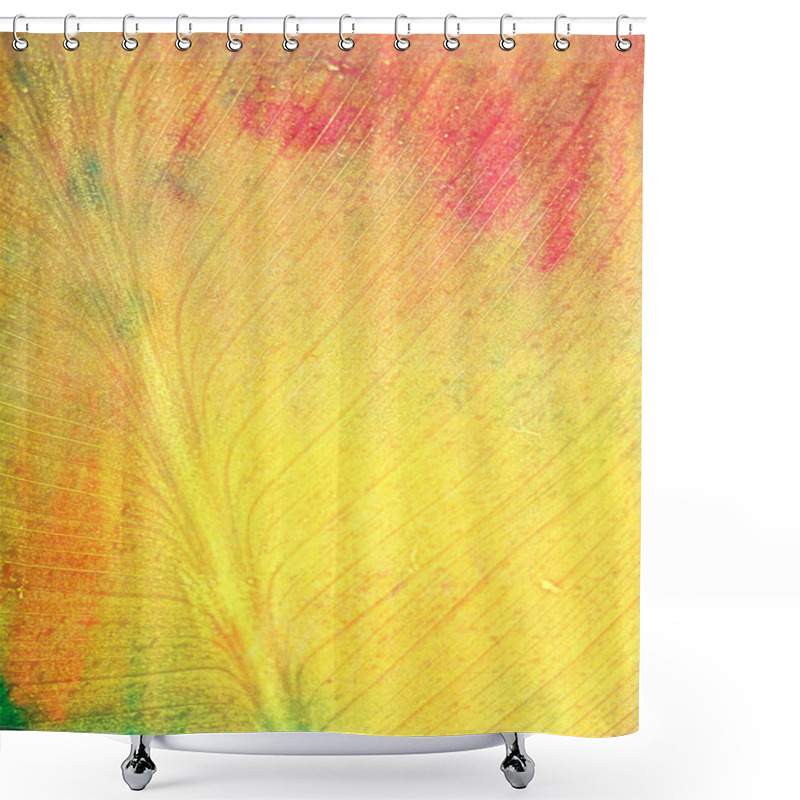 Personality  Leaf-like Fall-themed Background: Red, Green, And Yellow Patterns Imitating Leaf Texture Shower Curtains