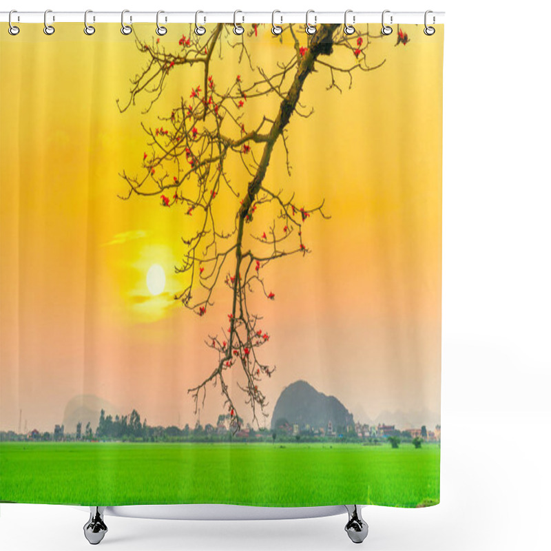 Personality  Beautiful Bombax Ceiba Tree Blooms In Spring Sunset Sky. This Flower Works As A Medicine To Treat Inflammation, Detoxification, Antiseptic, Blood Circulation Is Very Useful For Human Health Shower Curtains