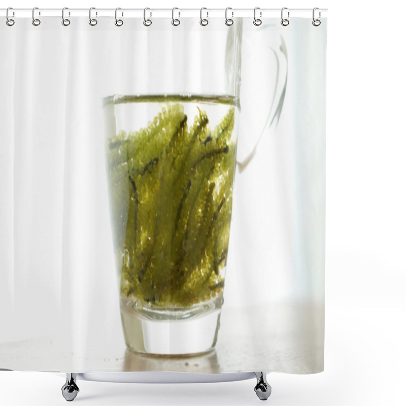 Personality  Sea Grape Seaweed, Uni Budou. Japanese Seaweed Shower Curtains