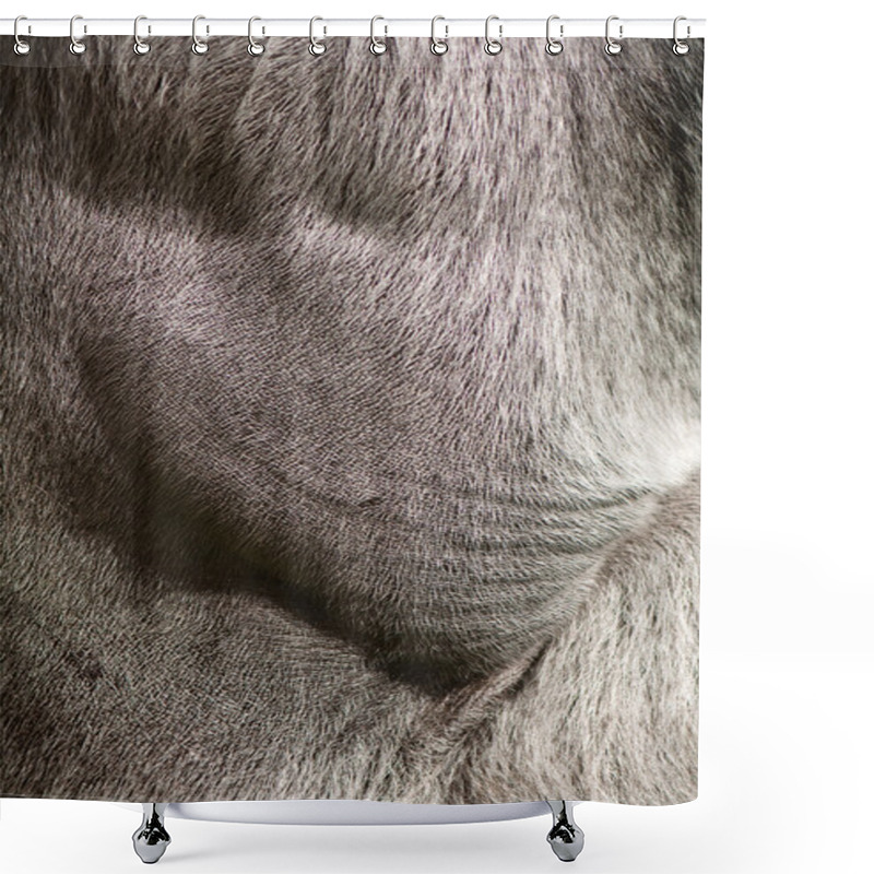 Personality  Gorilla Skin Texture Shower Curtains