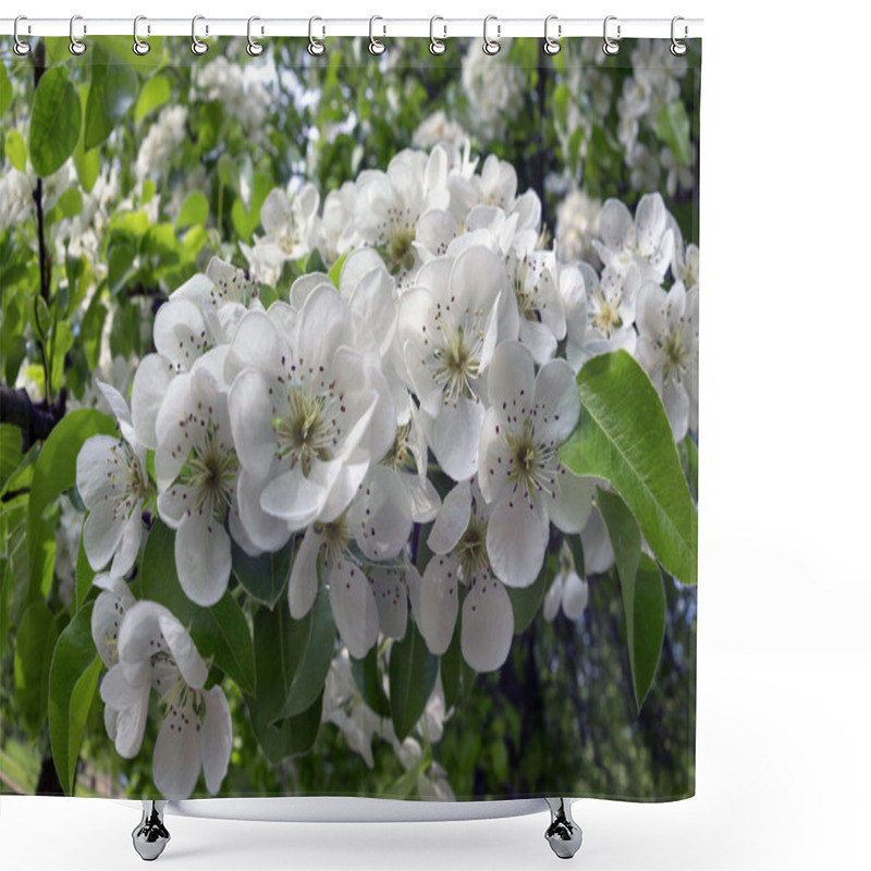 Personality  Gentle Apple Blossoms Shower Curtains