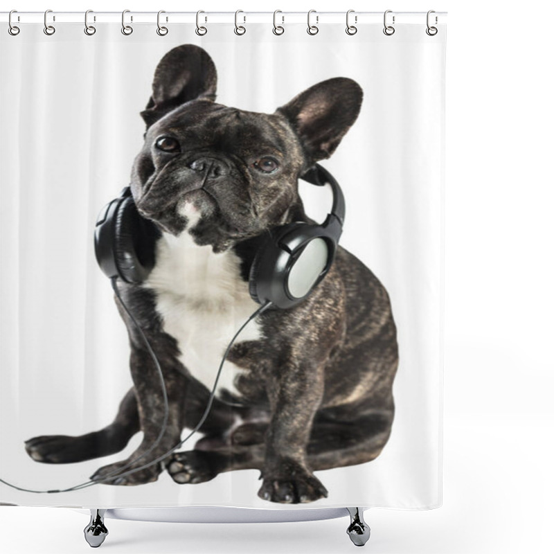 Personality  French Bulldog In Headphones  Shower Curtains