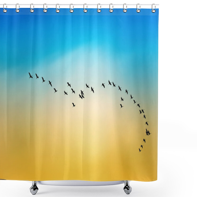 Personality  Silhouette Of Flying Birds Migratory Passage Shadoof In The Sky Shower Curtains