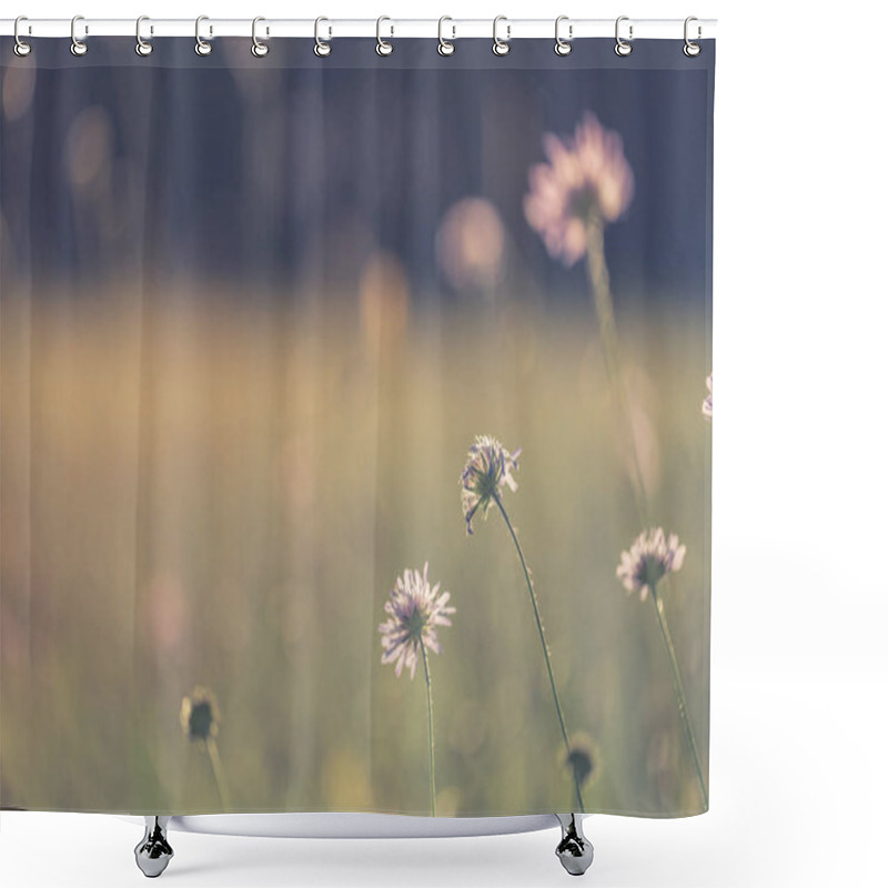 Personality  Beautiful Summer Meadow And Field Of Flowers. Soft Sunlight And Sun Rays With Vintage Tones Shower Curtains