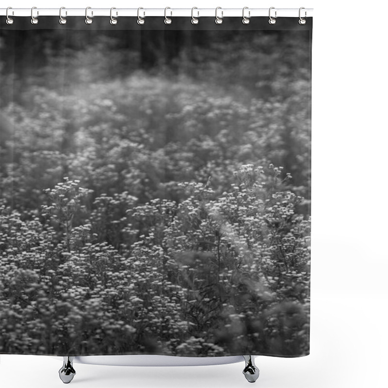 Personality  A Black-and-white Image Of A Field Of Daisies, Capturing The Timeless Beauty Of These Delicate Flowers In A Peaceful And Serene Natural Setting Shower Curtains