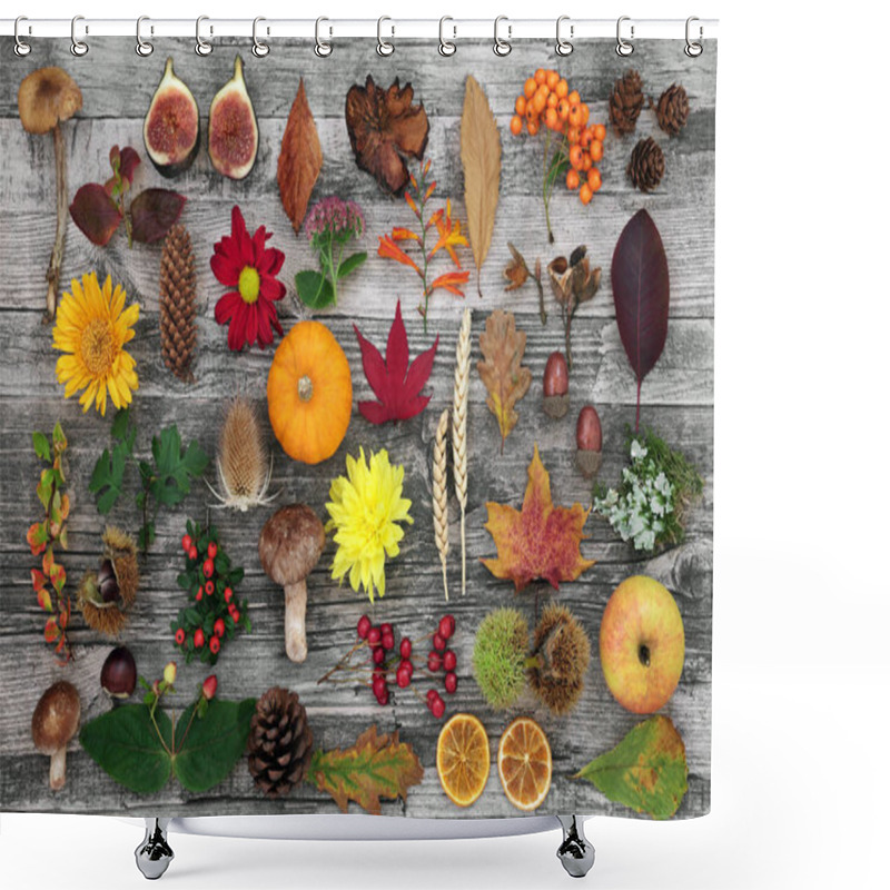 Personality  Nature Composition In Autumn For Botanical Study With Food, Flora And Fauna On Rustic Wood Background. Top View. Harvest Festival Theme. Shower Curtains