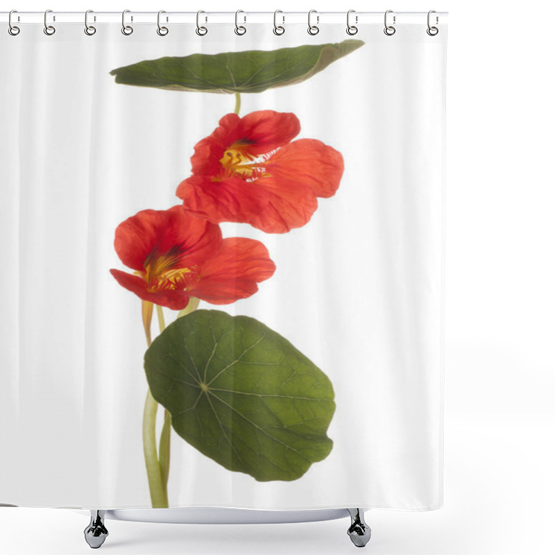 Personality  Flower Isolated On White Shower Curtains