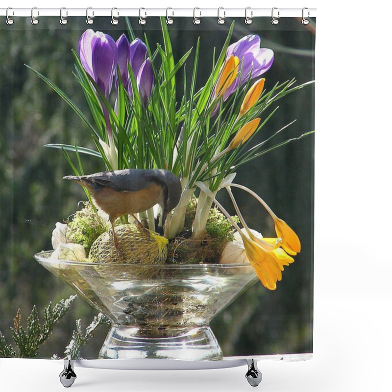 Personality  Crocus Flowers, Spring Flora And Petals Shower Curtains