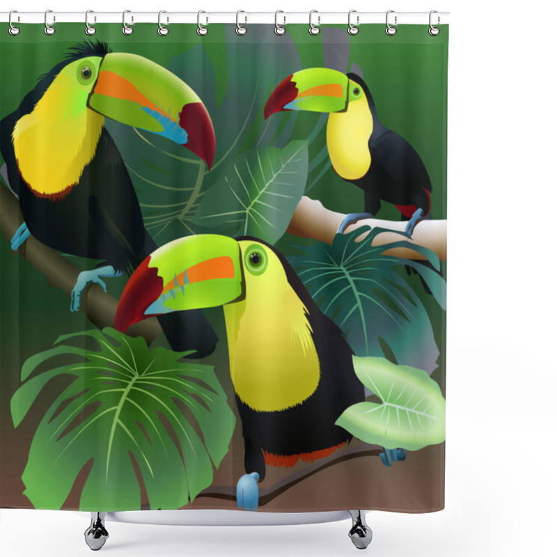 Personality  Toucans In The Rainforest Shower Curtains