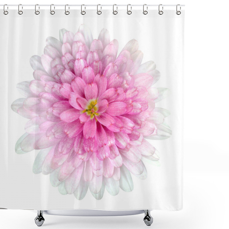 Personality  Dahlia Flower Pink Petals Isolated On White Shower Curtains