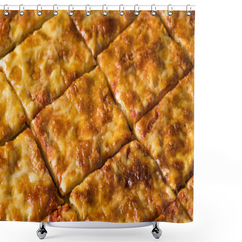 Personality  Delicious Homemade Cheese PIzza Shower Curtains