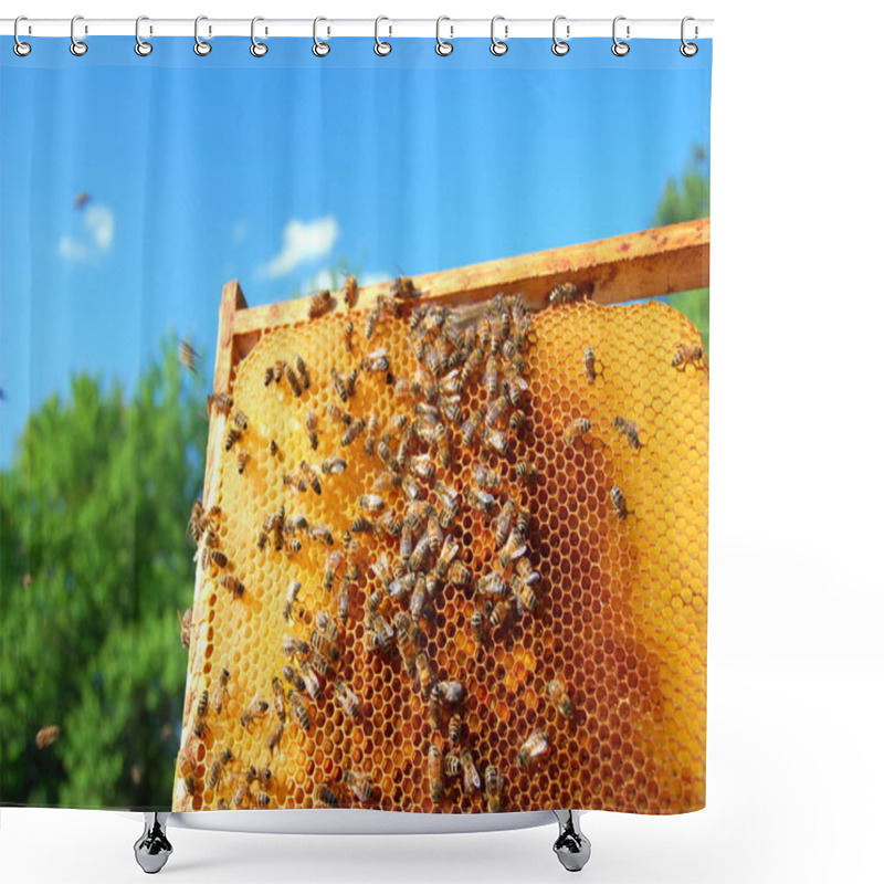 Personality  Bees On Honeycomb Frame Shower Curtains