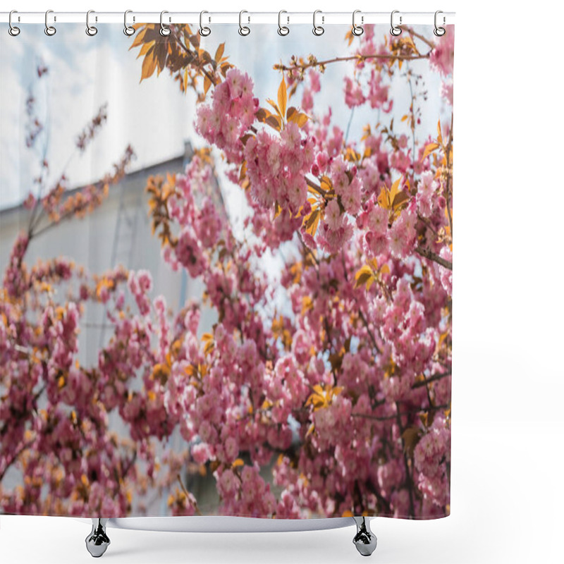 Personality  Low Angle View Of Blooming And Pink Cherry Tree Near Building  Shower Curtains