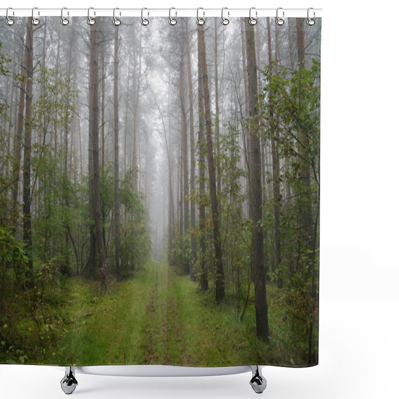 Personality  Foggy Forest In Poland Shower Curtains