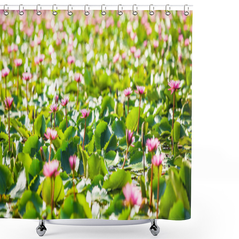 Personality  Bright And Beautiful Water Lilies On A Tropical Pond. Shower Curtains