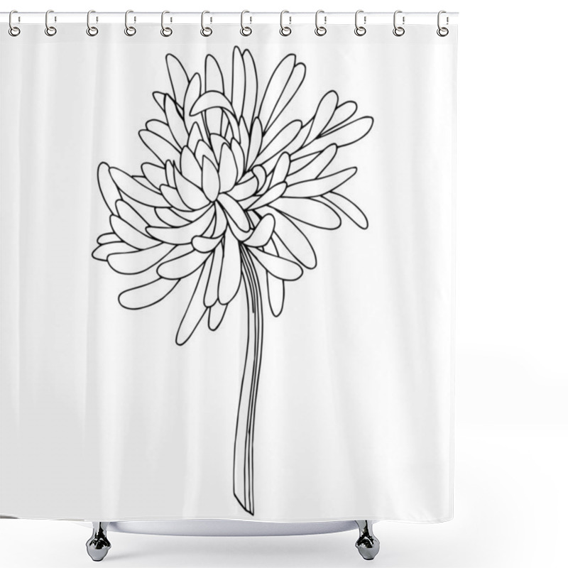 Personality  Vector Chrysanthemum Botanical Flower. Black And White Engraved Ink Art. Isolated Chrysanthemum Illustration Element. Shower Curtains