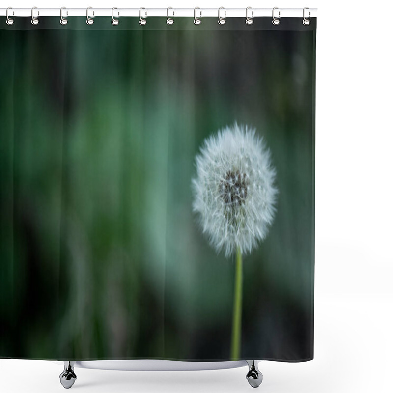 Personality  Close Up View Of Tender Dandelion With Blurred Background Shower Curtains