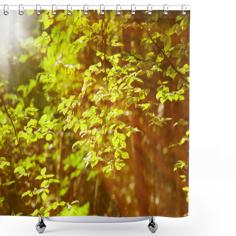 Personality  Late Summer Forest Shower Curtains