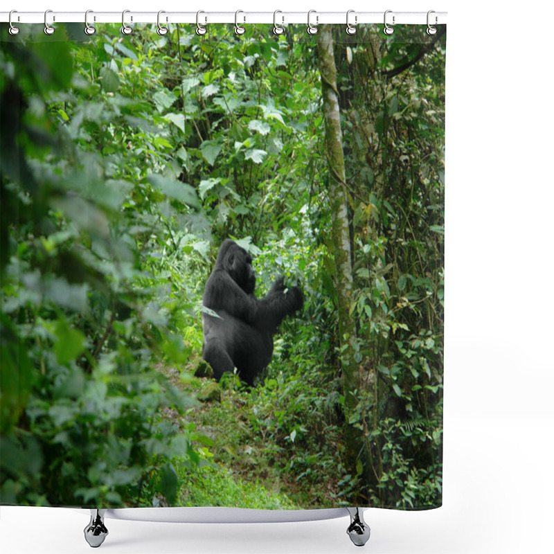 Personality  Gorilla In The African Jungle Shower Curtains