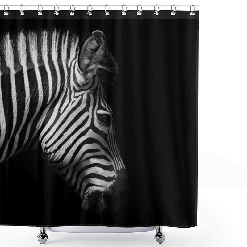 Personality  Zebra Head Shower Curtains