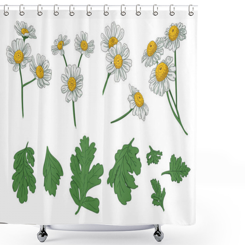 Personality  Set Of Individual Flowers Of Daisies And Leaves Shower Curtains