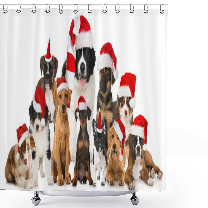 Personality  Christmas Puppies On Background, Close Up Shower Curtains