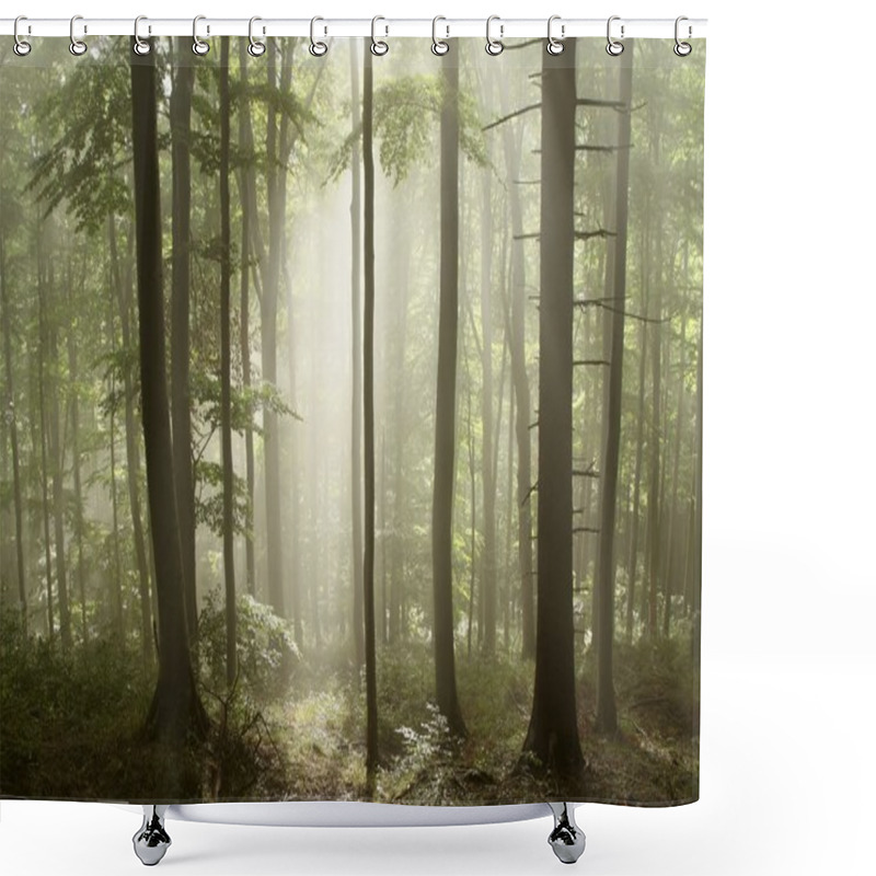 Personality  Misty Dawn In The Forest Shower Curtains