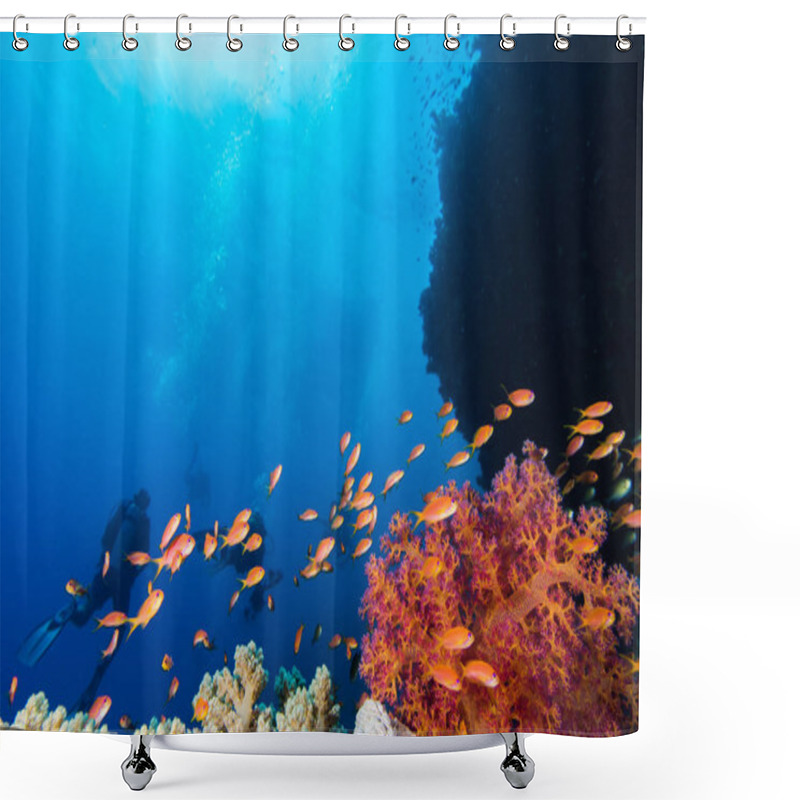 Personality  Seascape With Lyretail Anthias (Pseudanthias Squamipinnis) Fish In The Foreground And Soft Coral Behind Them, With Divers In The Background. Shower Curtains