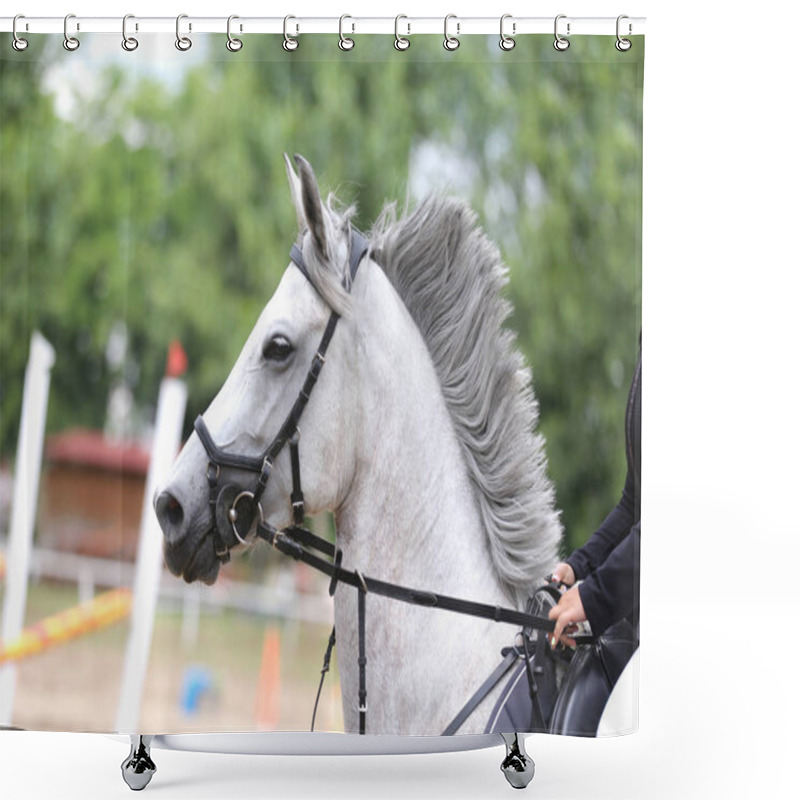 Personality  Beautiful Young Sport Horse Canter During Training Outdoors Shower Curtains