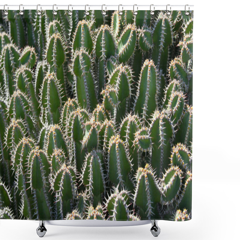 Personality  Cactus Closeup Shower Curtains