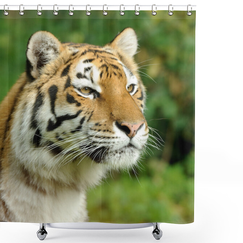 Personality  Tiger Shower Curtains