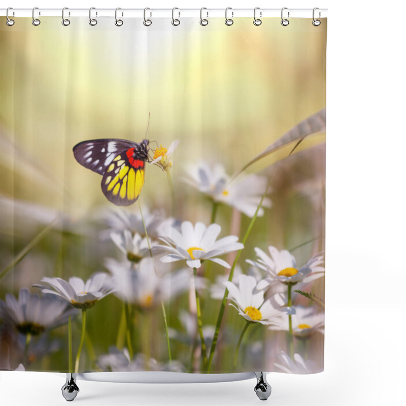 Personality  Butterfly Shower Curtains