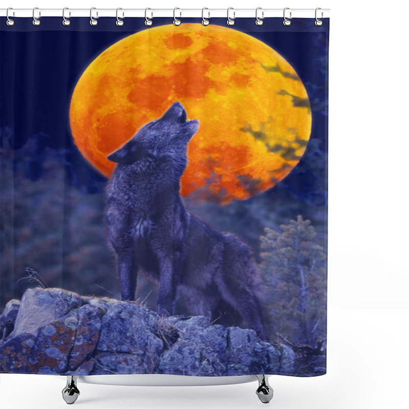 Personality  LOUP D'EUROPE Canis Lupus Shower Curtains