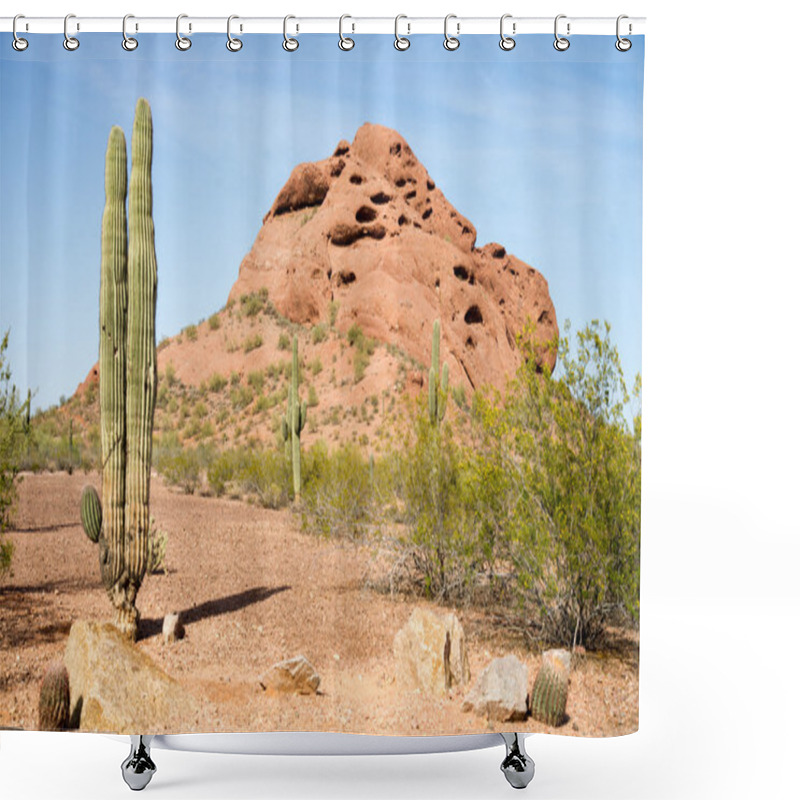 Personality  Arizona Desert Landscape Red Rocks Cactus Arid Landscape Shower Curtains