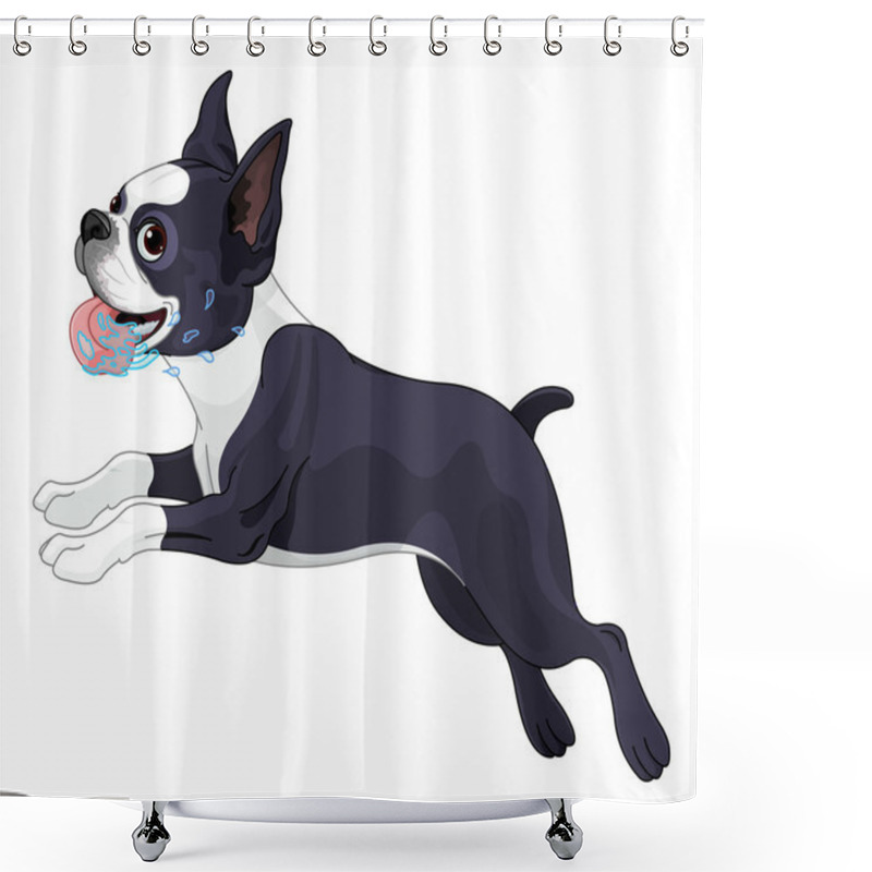 Personality  Cute Terrier Boston Shower Curtains